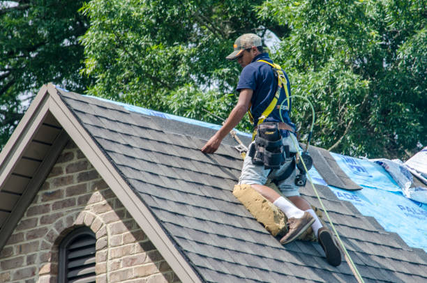 Best Roof Gutter Cleaning  in Beechwood Trails, OH